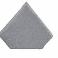 dana-3